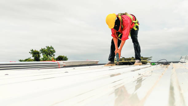 Best Skylight Installation and Repair  in Timberville, VA