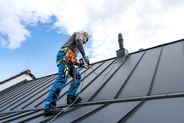 Best Gutter Replacement  in Timberville, VA