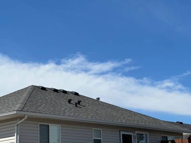 Trusted Timberville, VA Roofing Service Experts